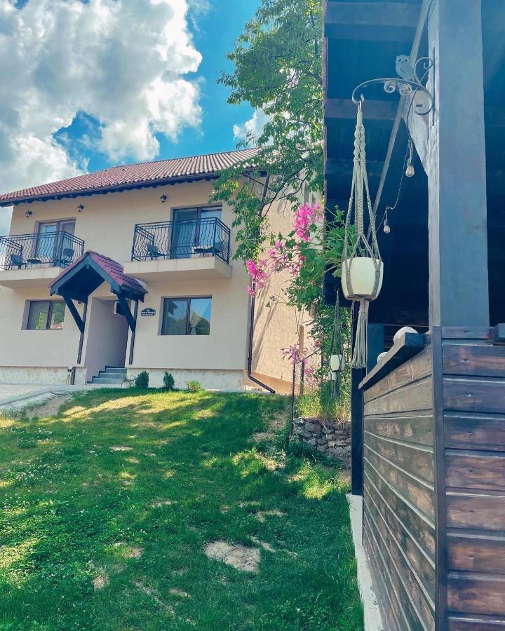 Transylvania Mountain View Cdi Bran  Exterior foto